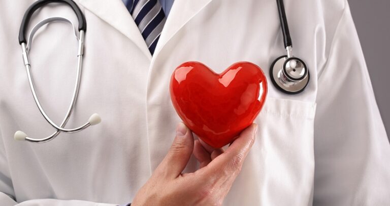 Doctor Holding A Plastic Heart